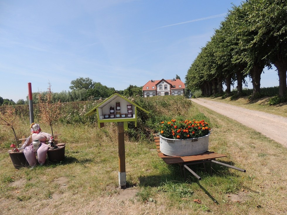 Blick auf die Zufahrt nach Einhusen, © Kurverwaltung Insel Poel