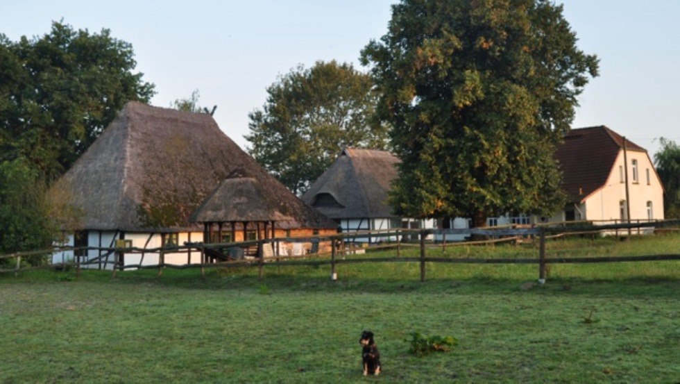 Pferdehof Schwalbennest: Ansicht unseres kleinen, familiär geführten Reiterhofes in Jörnstorf, wo Sie und Ihre Haustiere herzlich willkommen sind., © Pferdehof Schwalbennest/ Rauth