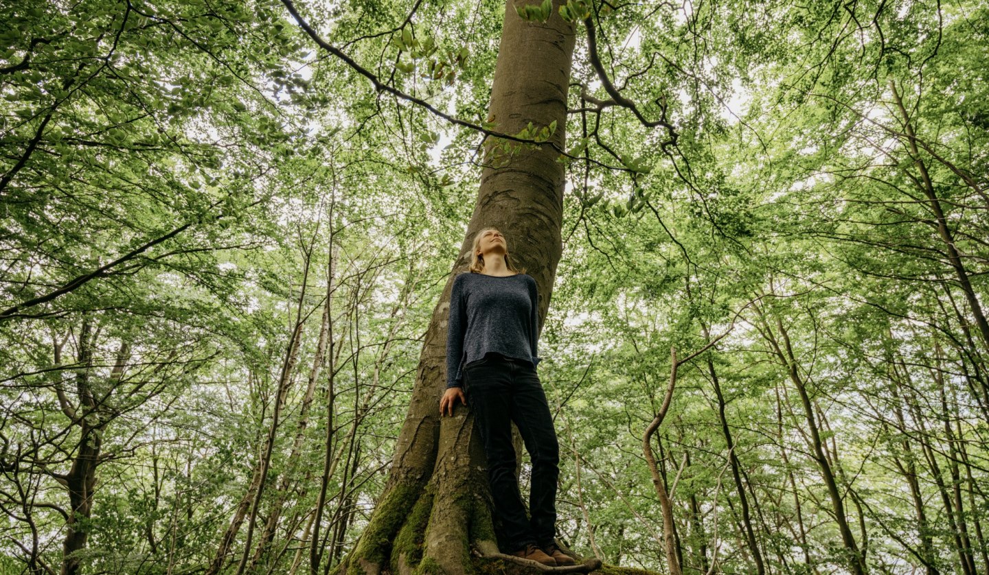 Wanderung: Die Heilkraft des Küstenwaldes, © Binzer Bucht Tourismus