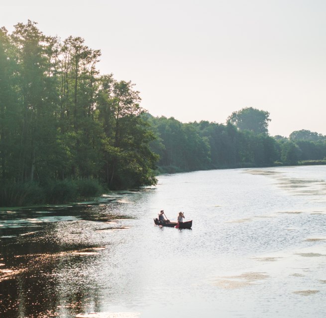 Zwei Personen paddeln in einem Kanu auf der Peene, umgeben von üppiger Natur und sonnendurchflutetem Wasser.