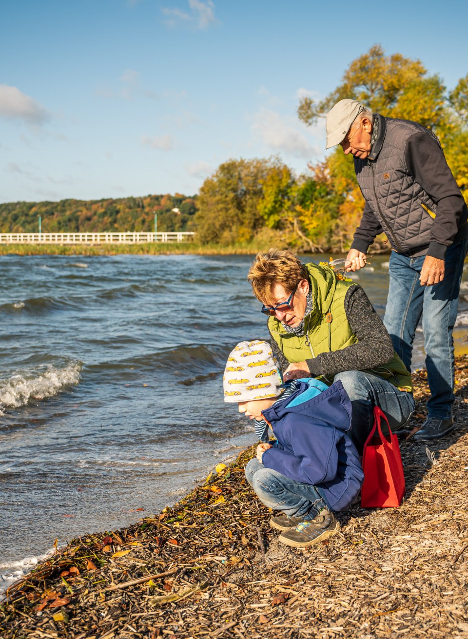  Süßwasser-Muscheln am Tollensesee sammeln, © TMV/Tiemann