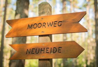 Wildwoche Graal-Müritz | Moorwanderung, © André Pristaff / Tourismus- und Kur GmbH Graal-Müritz