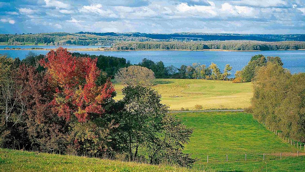 Bewaldete Hügel, malerische Seen - an goldenen Herbsttagen versprüht die Feldberger Seenlandschaft einen unverwechselbaren Charme, © TMV/Grundner