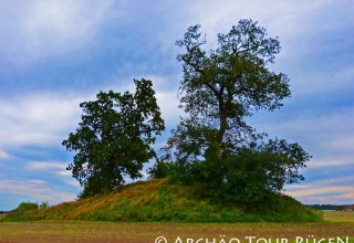 Blick auf das mit knorrigen Eichen bewachsene Hügelgrab "Himmel", © Archäo Tour Rügen