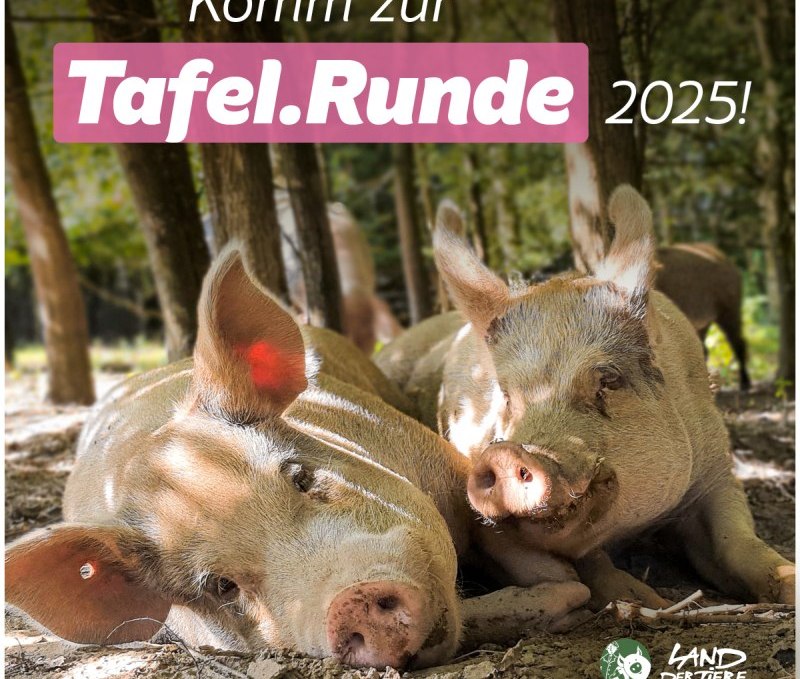 Komm zur Tafel.Runde 2025!, © Land der Tiere