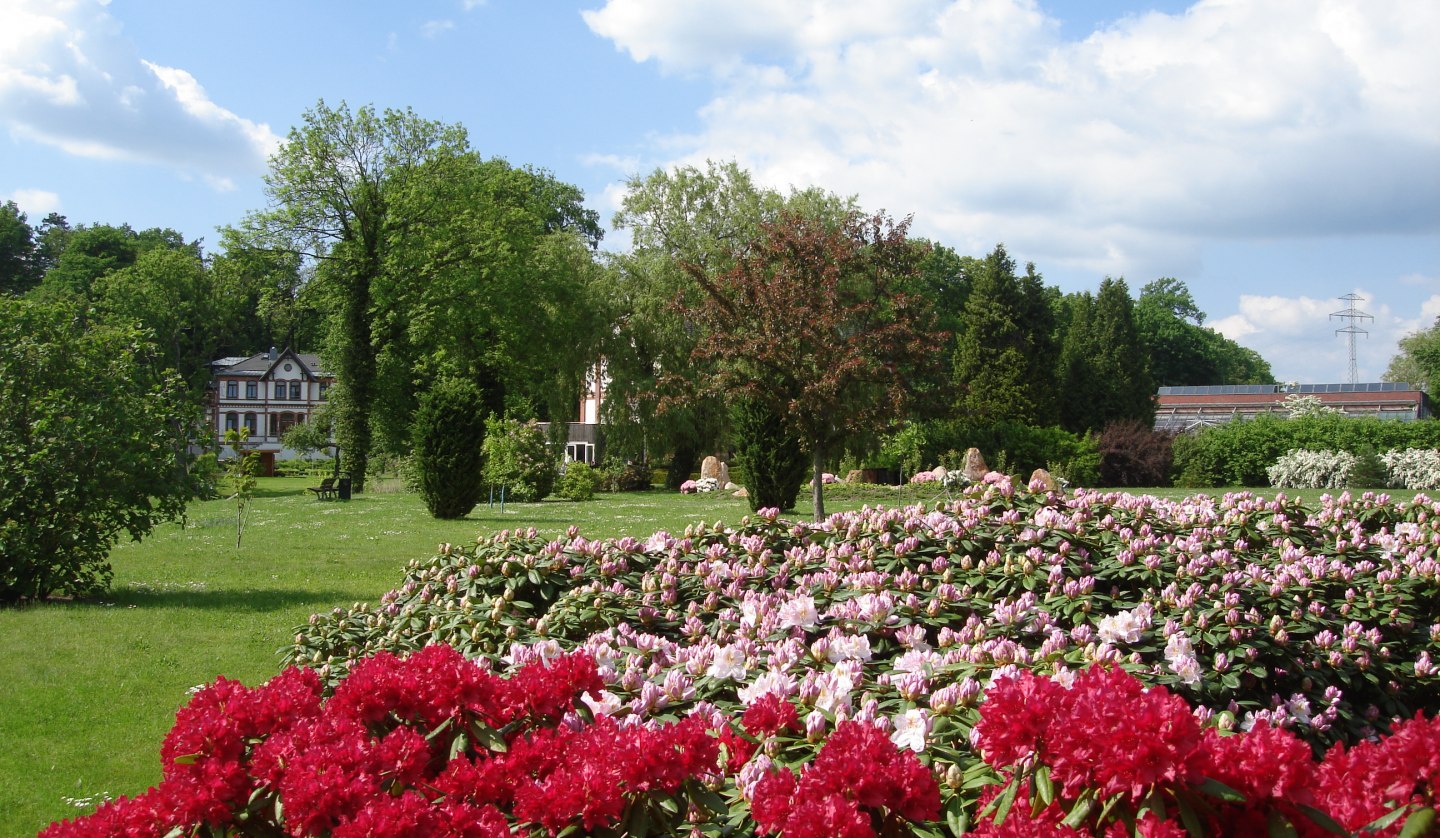 Schaugarten 1, © Kur- und Tourismus GmbH Waren (Müritz)