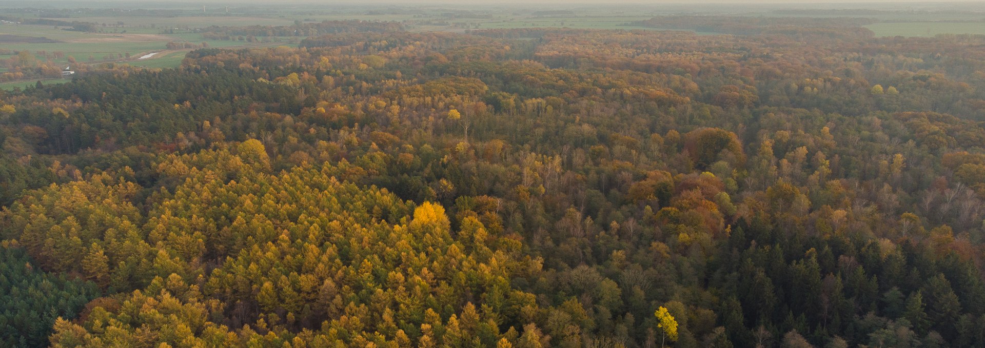 Barther Stadtforst, © Arndt Gläser