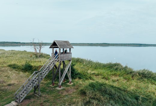 Aussichtsturm Riether Stiege am Stettiner Haff, © TMV/Gänsicke