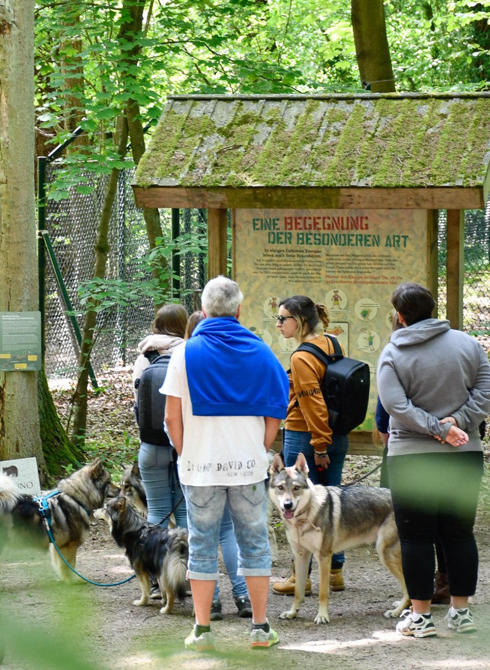 Eine Begegnung der besonderen Art, © Bärenwald Müritz