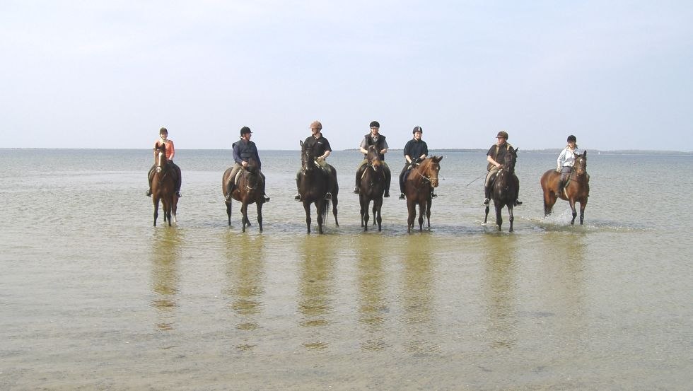 Mit dem Landgut Lischow bis ans Wasser reiten, © Ferien- und Reiterhof Landgut Lischow/Schröder