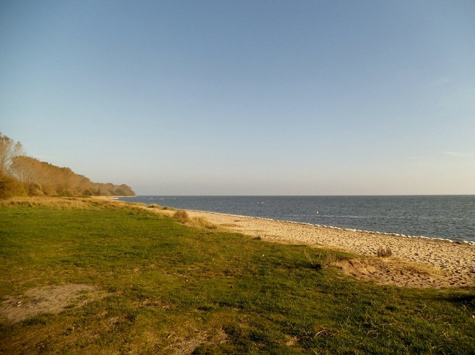 Ein Stück "Palmer Ort" auf der Halbinsel Zudar., © Tourismuszentrale Rügen