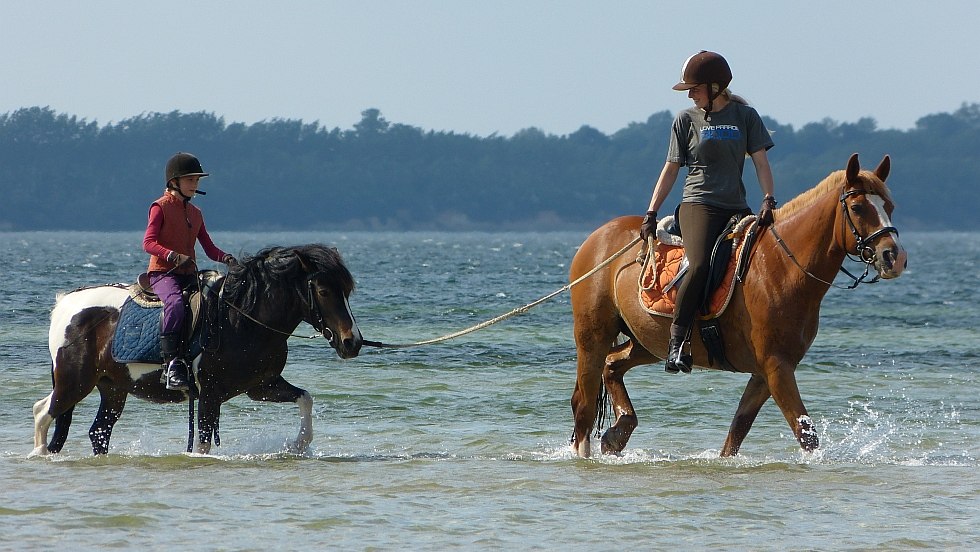 Auf dem Rücken der Pferde lassen sich neue Wege erkunden, © TMO