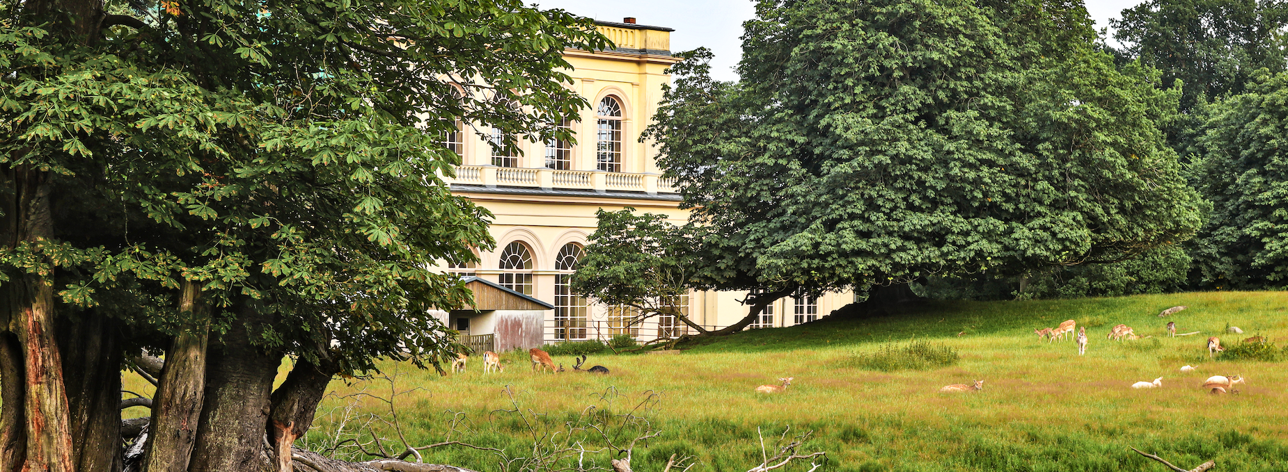 schlosspark-zu-putbus_1, © TMV/Gohlke