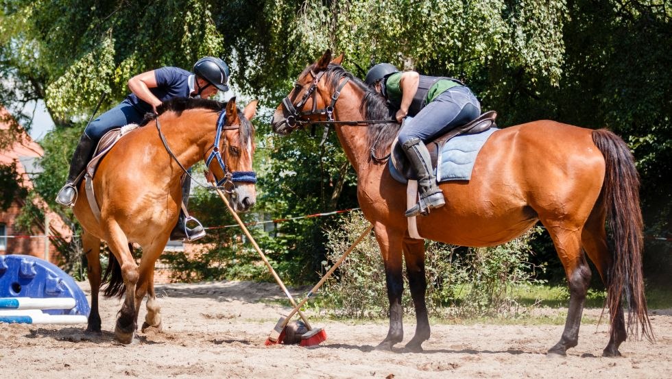 Geschick, Feingefühl und Balance - das braucht man bei Reiterspielen, © Reit- und Fahrverein Strameuß