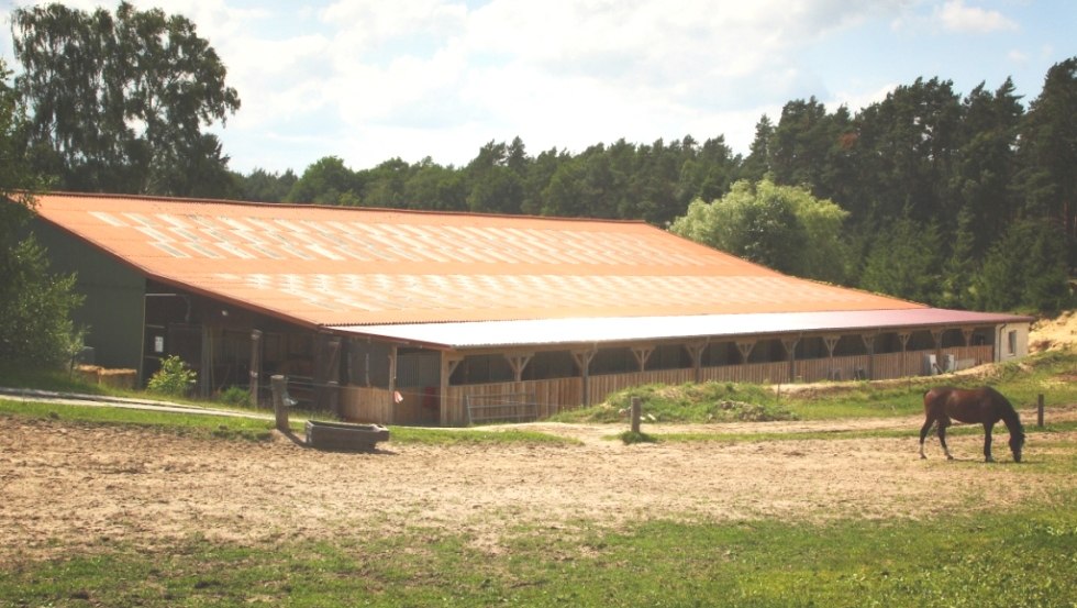 Auf dem Bauernhof Tanger erleben Sie Ihren Urlaub im Sattel das ganze Jahr, © Bauernhof Tanger/ Cornelia Tanger