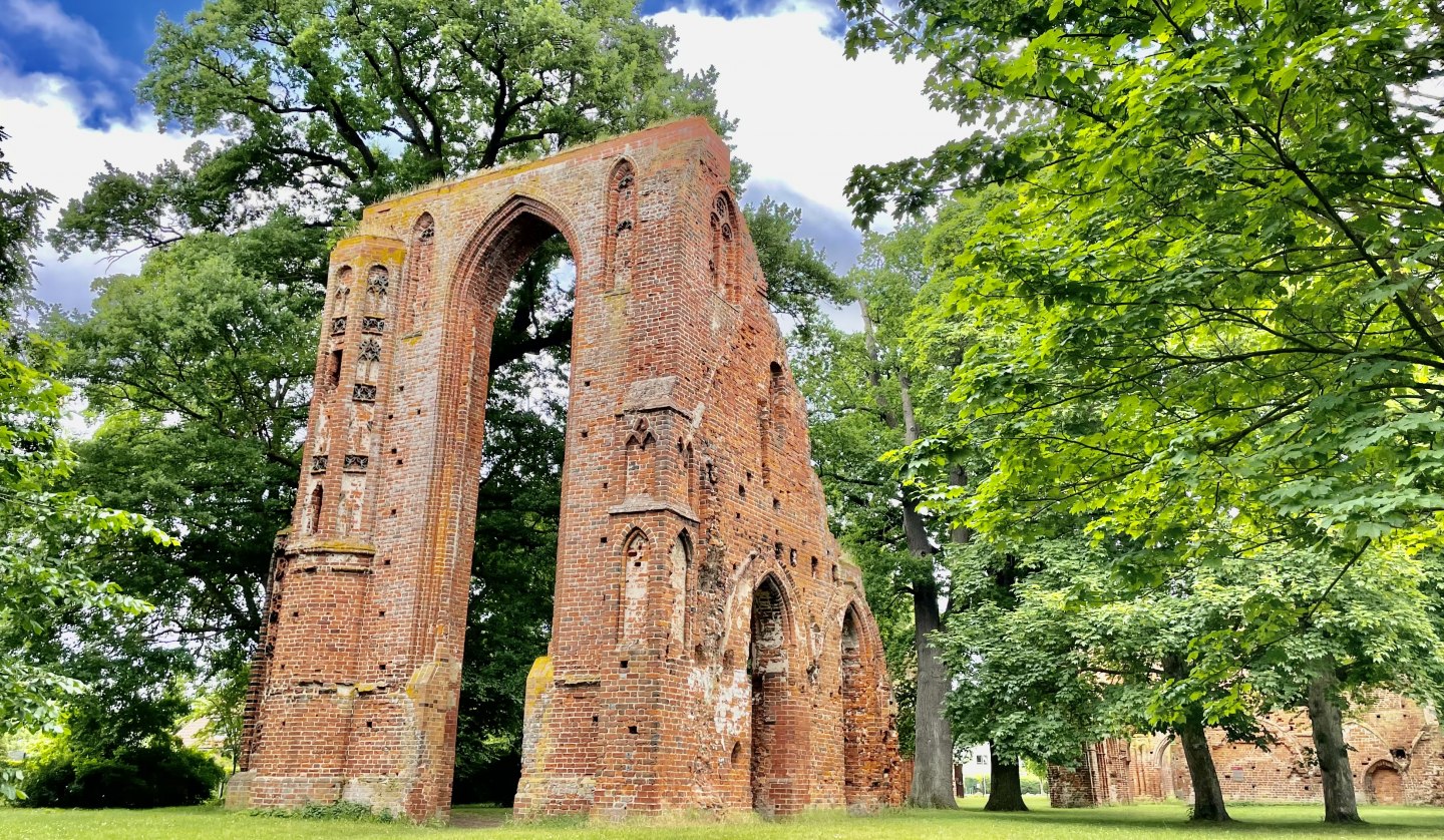 Klosterruine Eldena, © Gudrun Koch