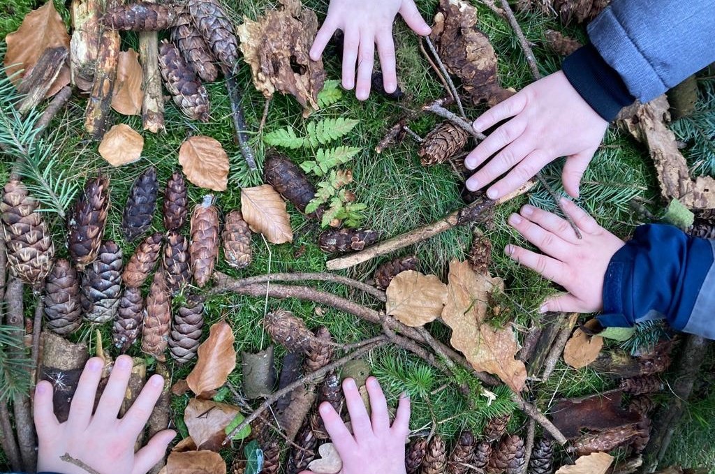 Waldexkursion & Naturerlebnis für die ganze Familie, © 2.jpg