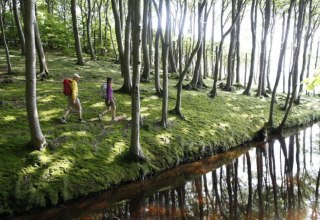 Wanderung durch den Küstenwald bei Lietzow, © TMV/outdoor-visions.com