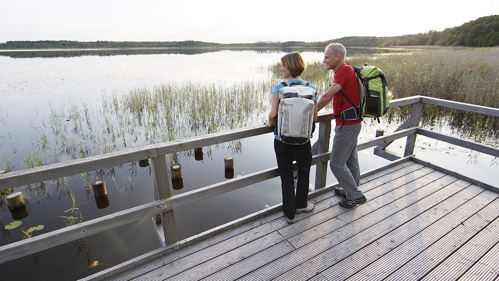 Weite Ausblicke genießen: Die Beobachtungsplattform am Nordufer des Priesterbäker Sees liegt mitten im Müritz-Nationalpark, © TMV/outdoor-visions.com