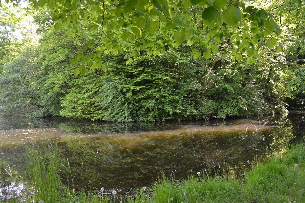 Ein kreisförmiger Turmhügel ist erkennbar., © Lutz Werner