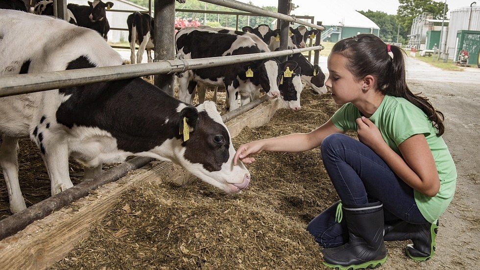 Bei einem Familienausflug zum Bauernhof gibt es viel zu erleben, © TMV/Thomas Ulrich