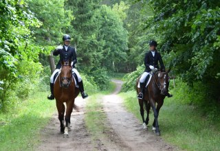 Ausreiten mit dem Reiterhof Groß-Stubben heißt vorallem Natur genießen, © Reit- und Fahrverein Poseritz e.V./ Thomas Krimmling