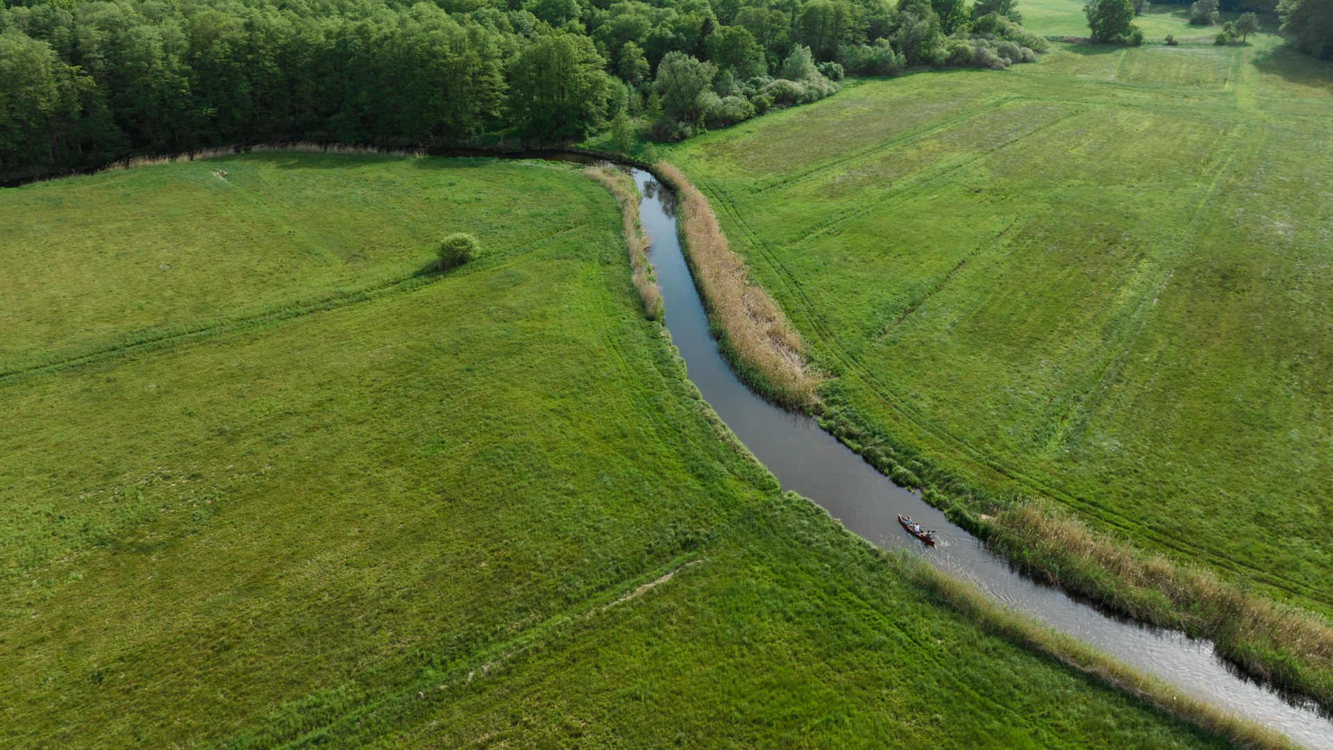 Wiesen und Wälder soweit das Auge reicht umgeben das Ufer der Warnow, die über 150 Kilometer quer durch Mecklenburg-Vorpommern fließt. , © TMV/Gross