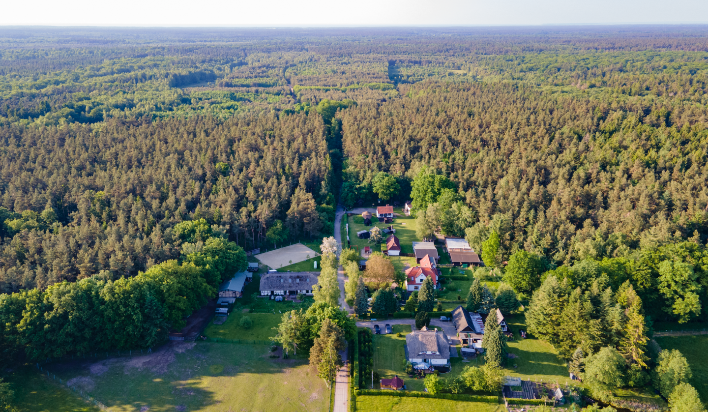 Ein Blick auf den Hof und die Rostocker Heide, © TMV/Witzel