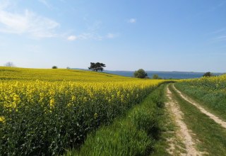 offene Landschaft, © Groh