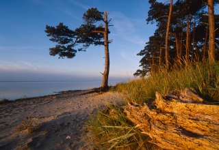 Strand Ludwigsburg in Abendstimmung, © TMV.Thomas Grundner