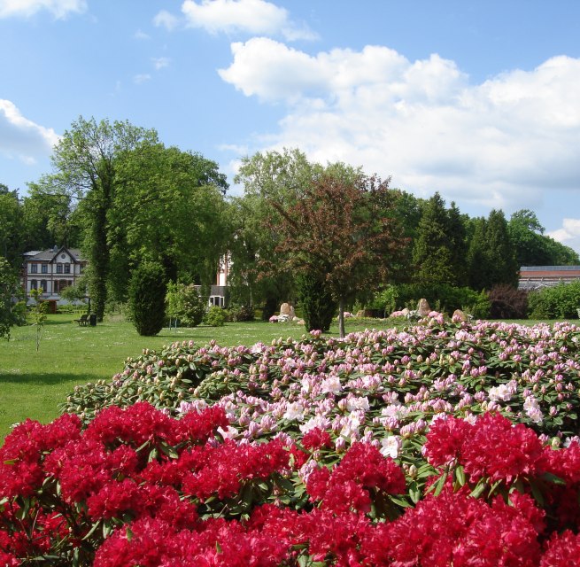 © Kur- und Tourismus GmbH Waren (Müritz)