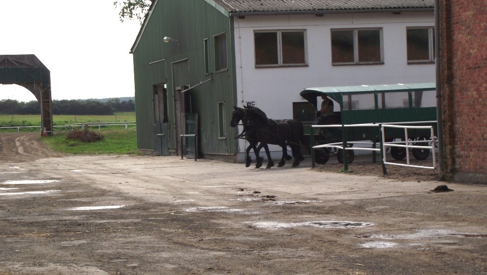 Impressionen der Stallungen des Gestüt Ganschows, © Gestüt Ganschow