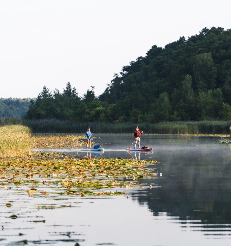 Zwei Frauen paddeln auf einem Stand-Up-Paddle-Board auf einem See. 
