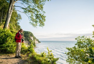 Wild und faszinierend: Die imposanten Kreidefelsen, ein zeitloses Symbol der Insel Rügen., © TMV/Roth