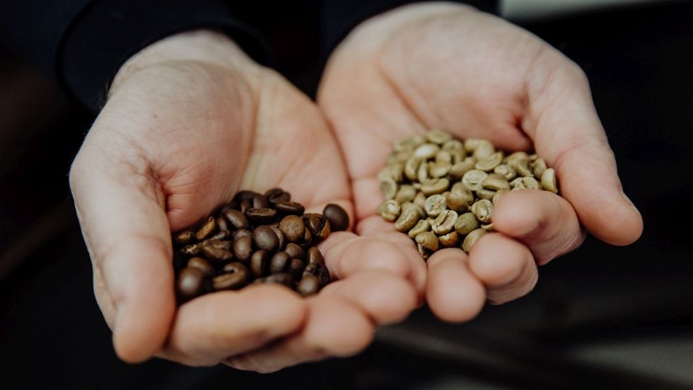 Vergleich Röst- zu Rohkaffee, © Fileo Kaffeemanufaktur GmbH