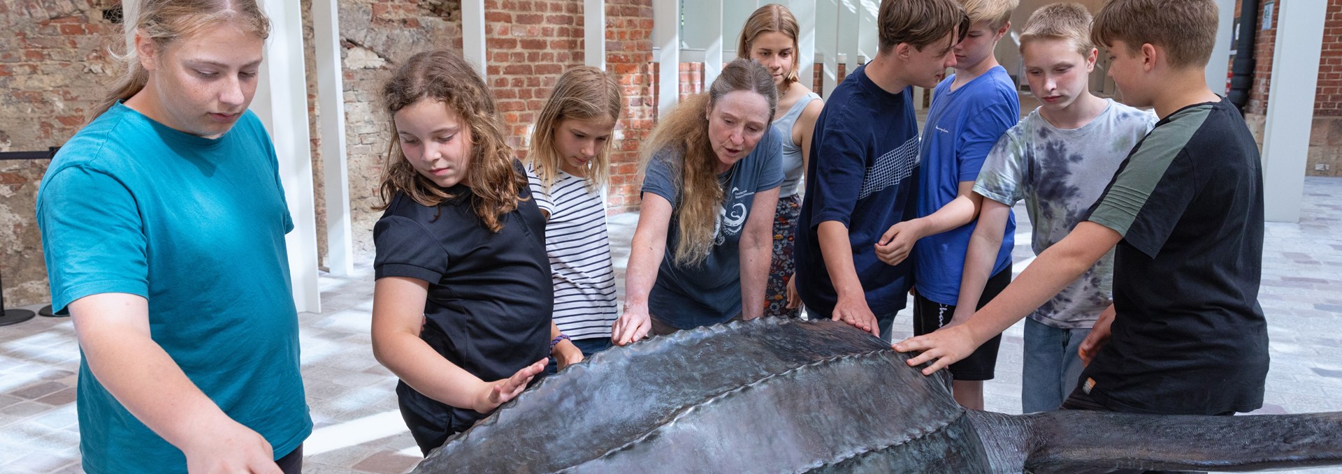 Ein Bronzeabguss der Lederschildkröte „Marlene“ ist im Foyer des MEERESMUSEUMs ertastbar (Foto: Anke Neumeister/Deutsches Meeresmuseum)