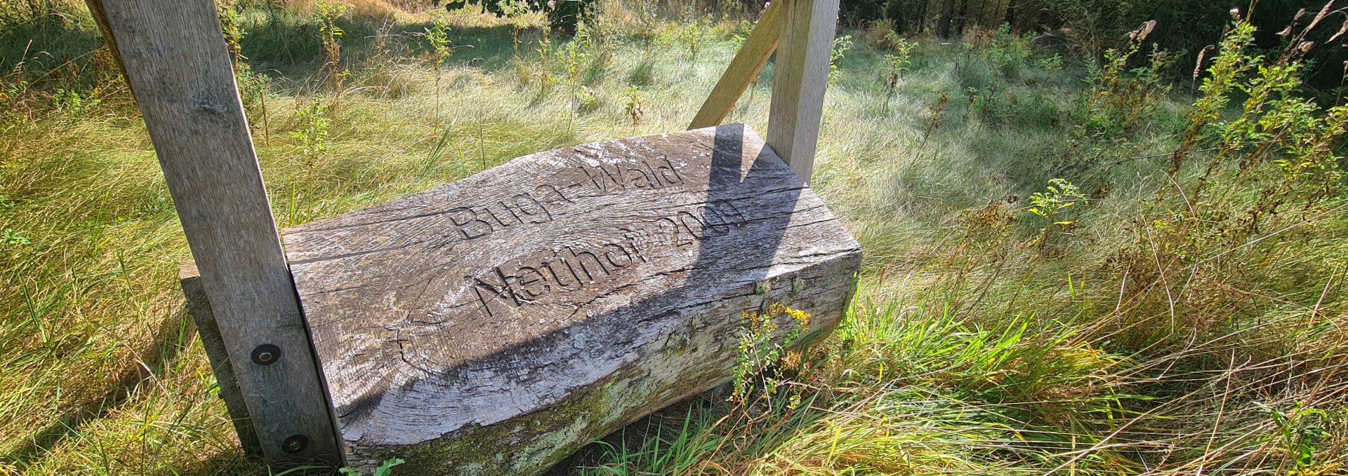 Klimawald Neuhof - Zur Bundesgartenschau 2009, © Landesforst MV