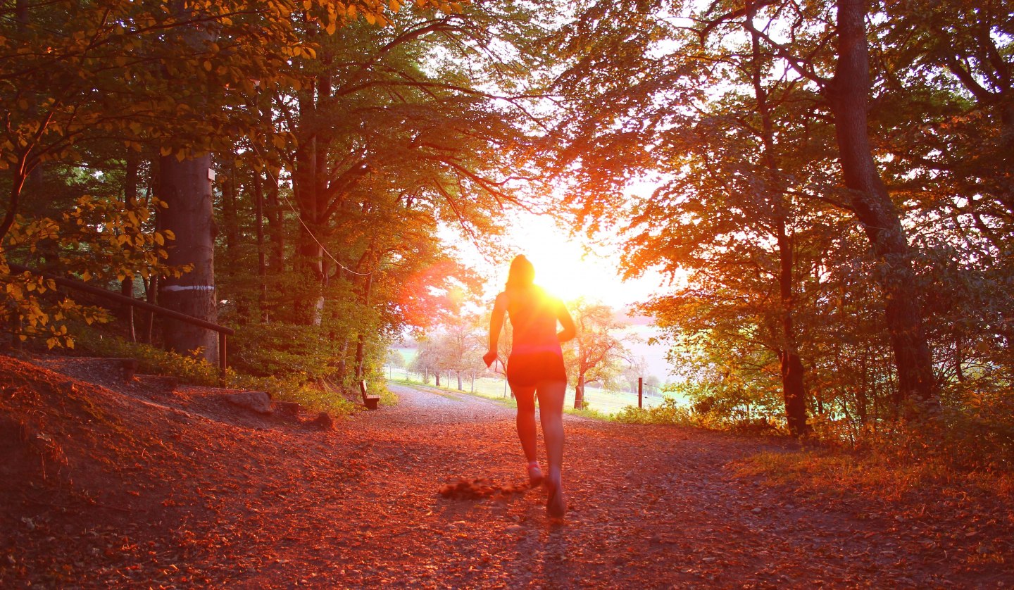 Symbolfoto | Graal-Müritzer Schneckenlauf, © Foto von Nathalie Désirée Mottet auf Unsplash