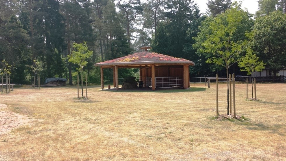 Gastpferdeweiden und ein Gastpferdeoffenstall heißen Reiter und Pferd herzlich willkommen auf der Ferienanlage Am Walde in Wooster Teerofen., © Thamm