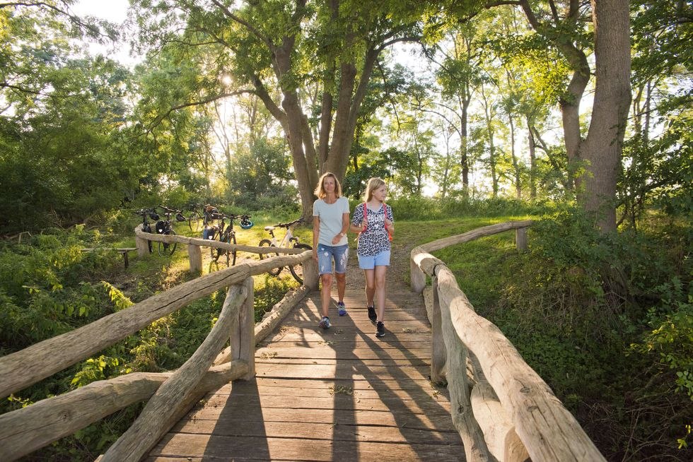 Brücke zum Beobachtungsturm, © C. Drühl/Tourist-Info