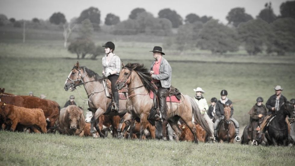 Wie die Cowboys im Wilden Westen unterwegs sein- auf dem FerienGut Dalwitz., © FerienGut Dalwitz