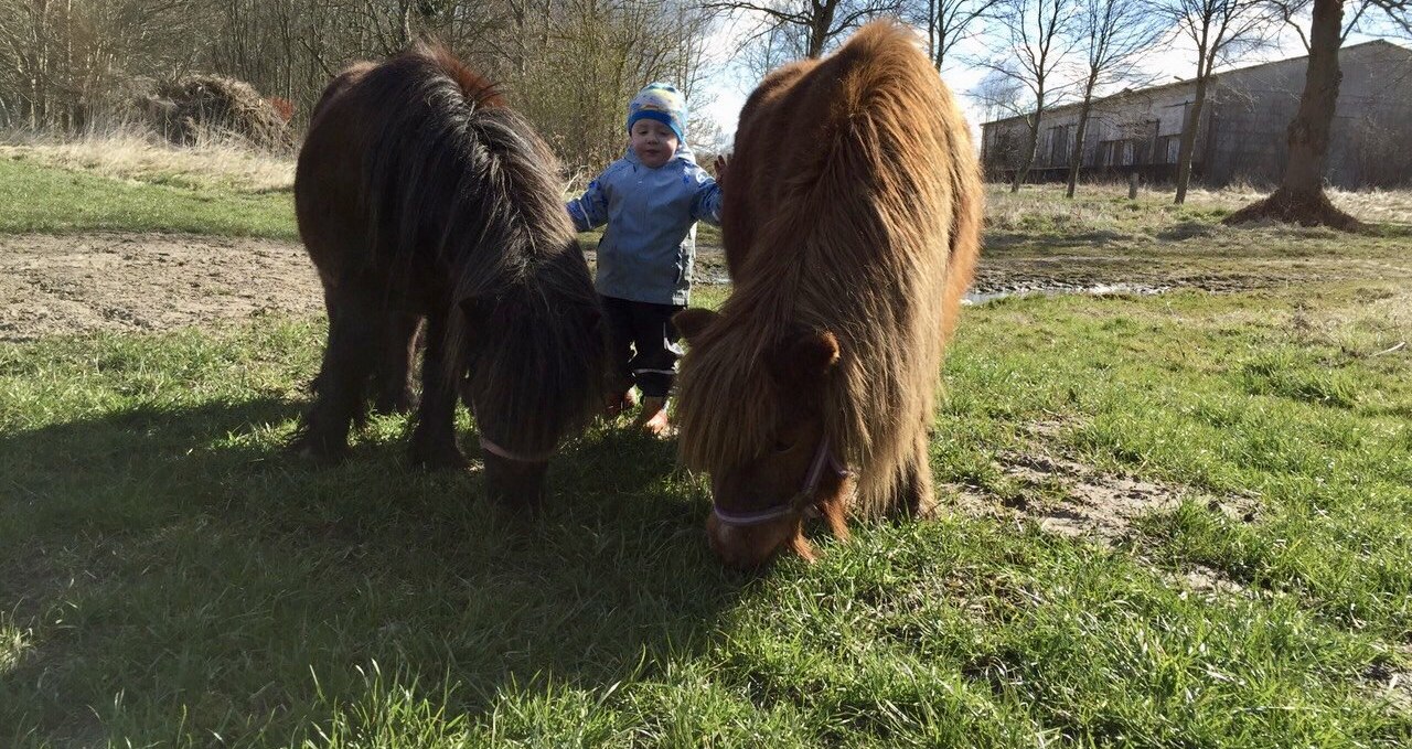 Auch Ponyreiten ist nach Absprache möglich, © © Hannas Ranch