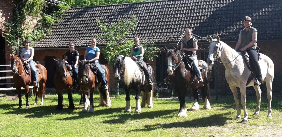 Pferd & Ross - herzlich willkommen auf dem Bio Erlebnishof Grittel, © Bio Erlebnishof Grittel/ Nicole Albs