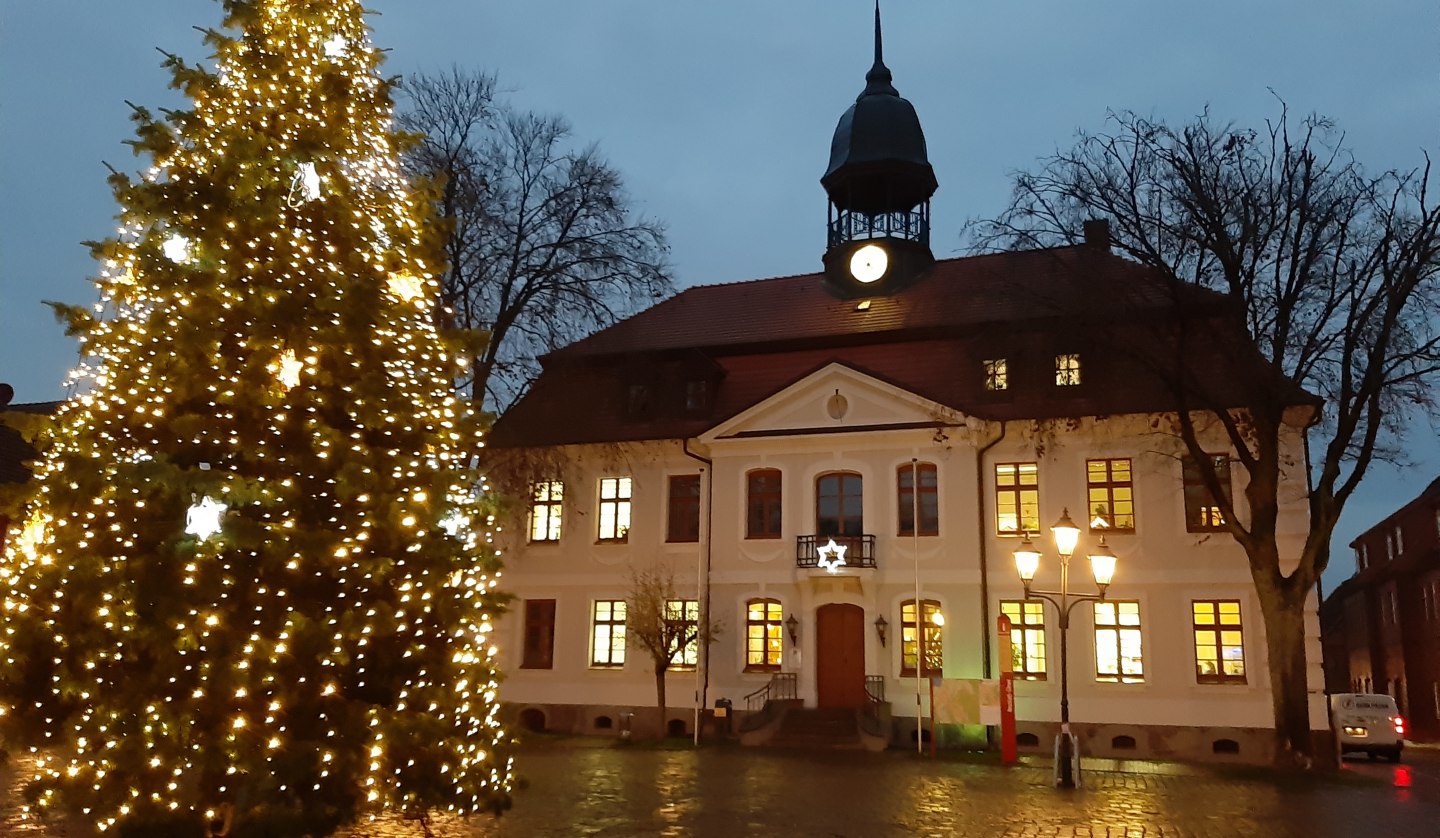 rathausplatz-ng-mit-weihnachtsbaum