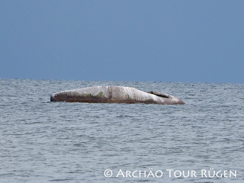 mitten in der Ostse liegt der "Buhskam", © Archäo Tour Rügen