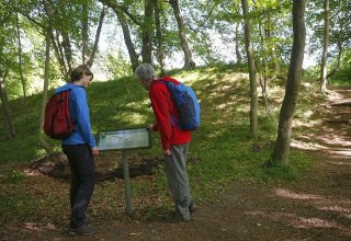 Eine Schautafel gibt einen Überlick über die Wallanlage., © TMV/outdoor-visions.com