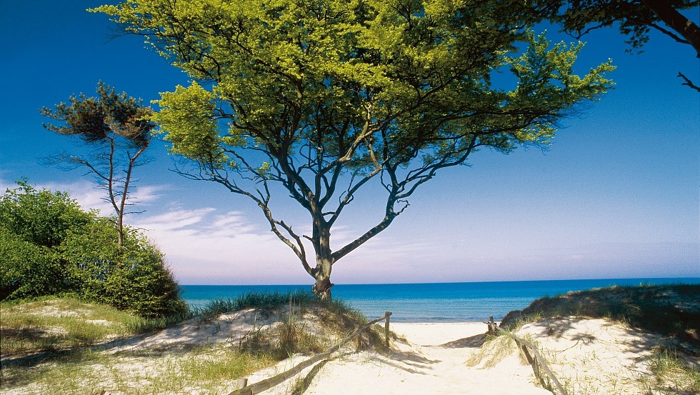 Karibisches Flair am Darßer Weststrand, Fischland-Darß-Zingst, © TMV/Voigt & Kranz