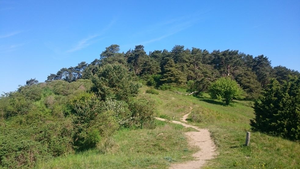 Blick auf den Weißen Berg, © TMV/Bodieschek