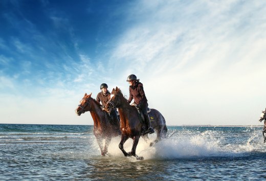 Von Oktober bis April heißt es rein in den Sattel und ab an die Mecklenburgische Ostsee, © TMV/Pantel