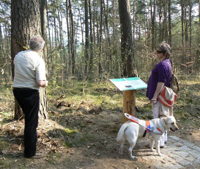 © Nationalparkamt Müritz/Kaiser